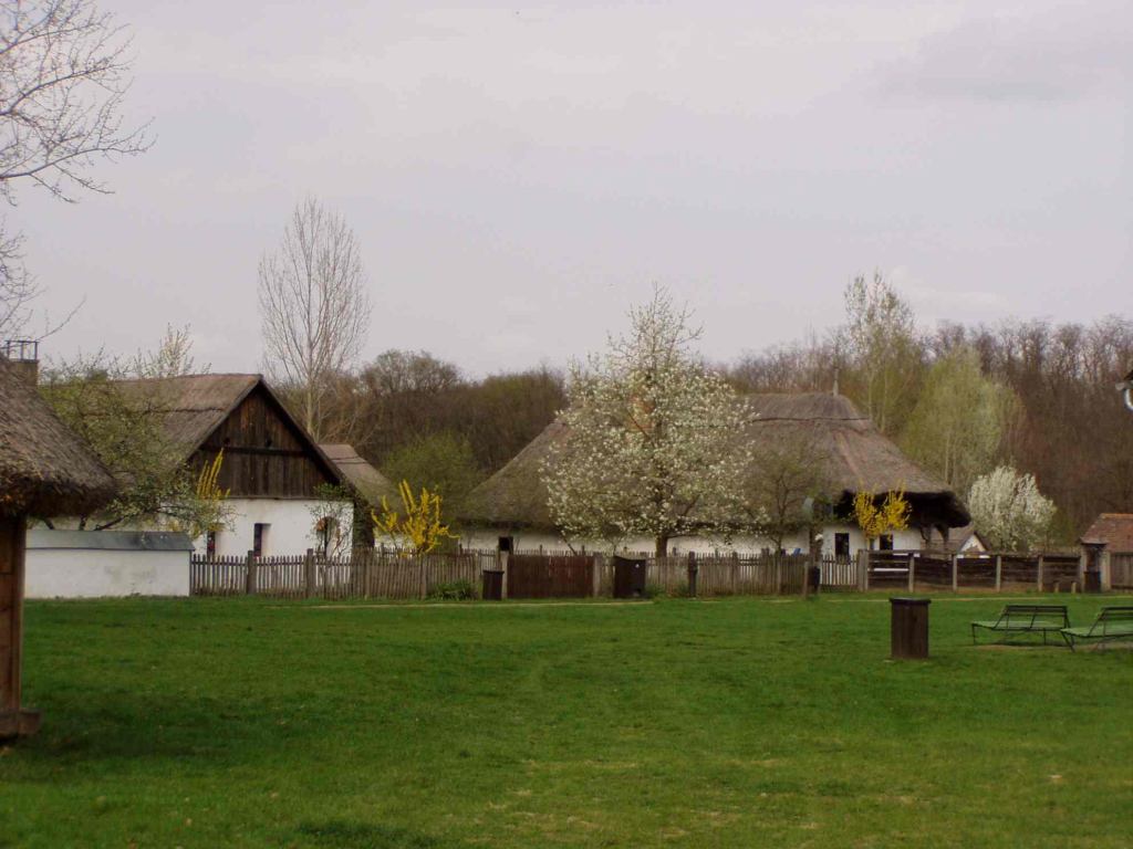 * Image 19