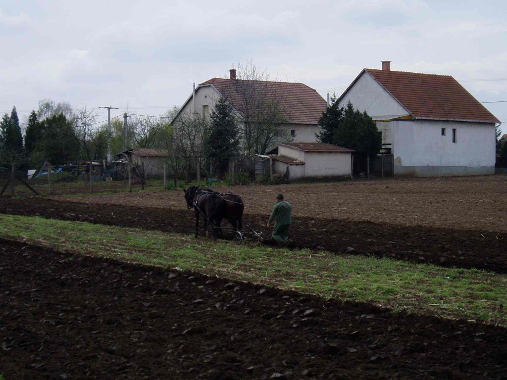 * Image 33