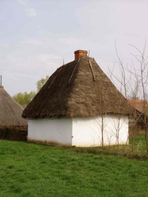 * Image 17