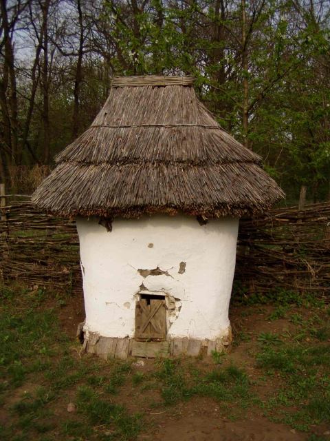 * Image 23