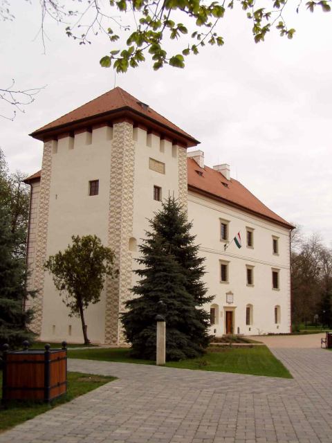 * Image 37