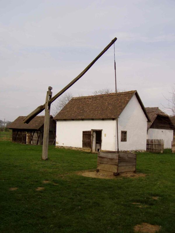 * Image 16