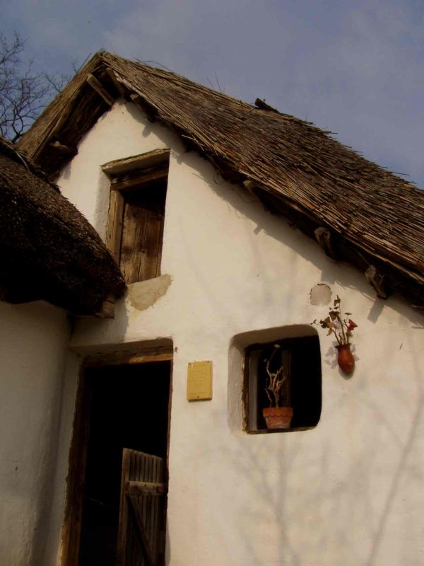 * Image 25