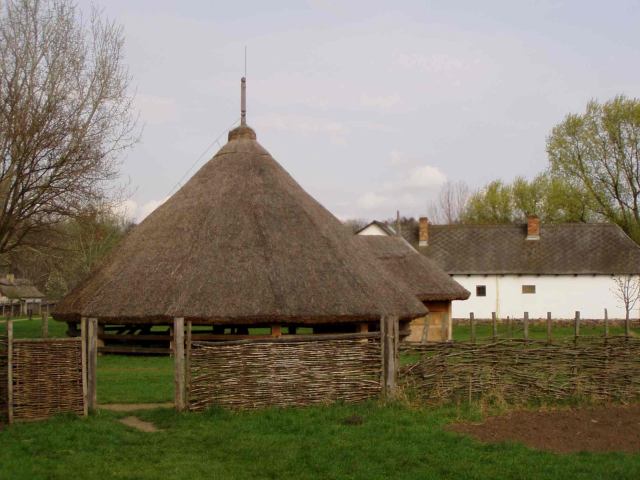* Image 18