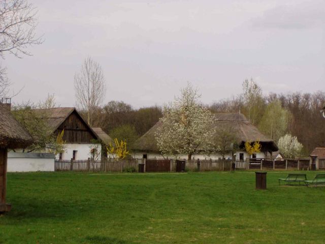 * Image 19
