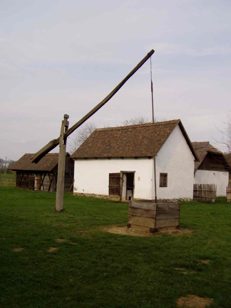 * Image 16