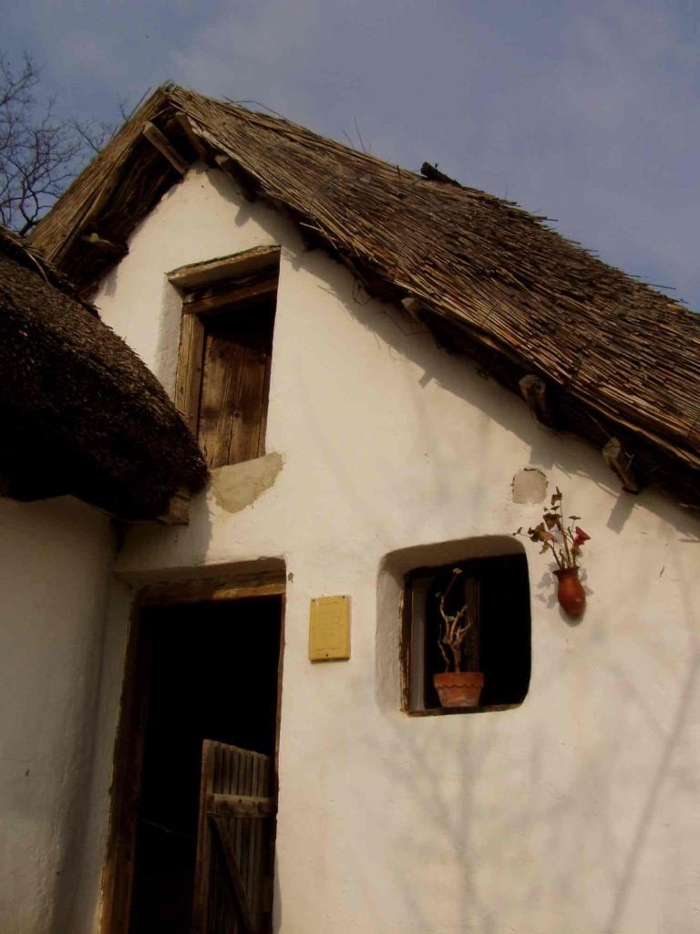 * Image 25