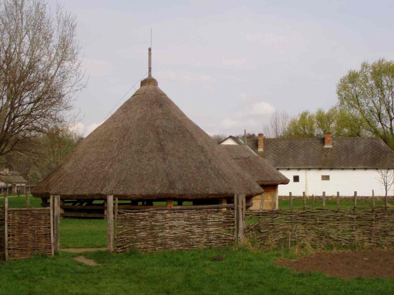 * Image 18