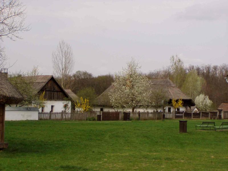 * Image 19