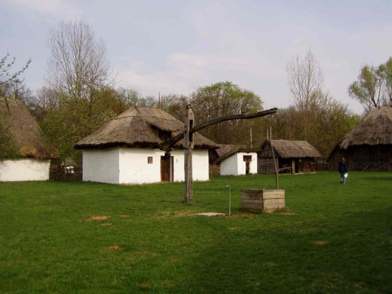 * Image 21