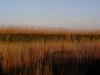 P4220355.jpg - 2005:04:22 19:34:55