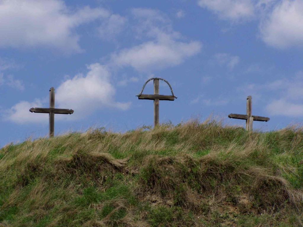 * Image 15