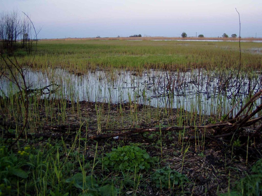 * Image 34