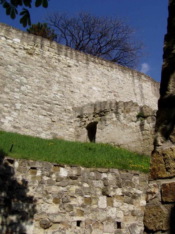 * Image 8