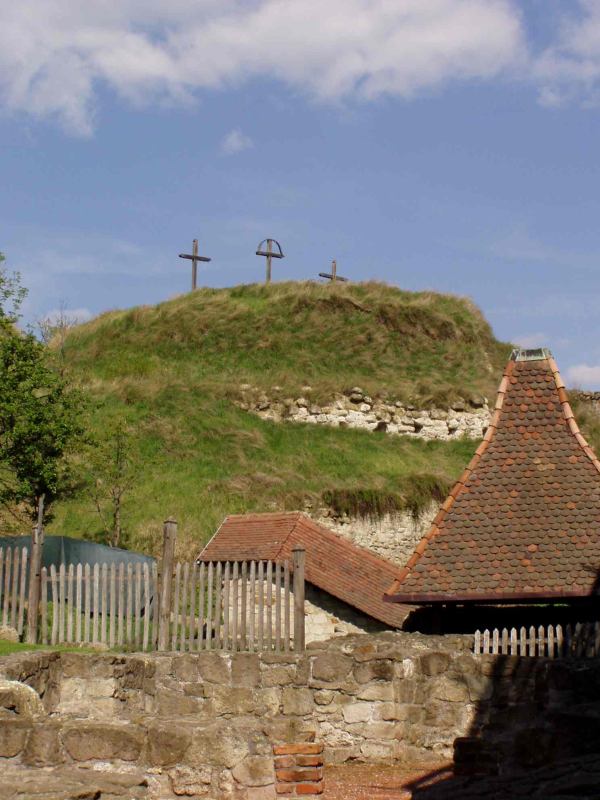 * Image 11