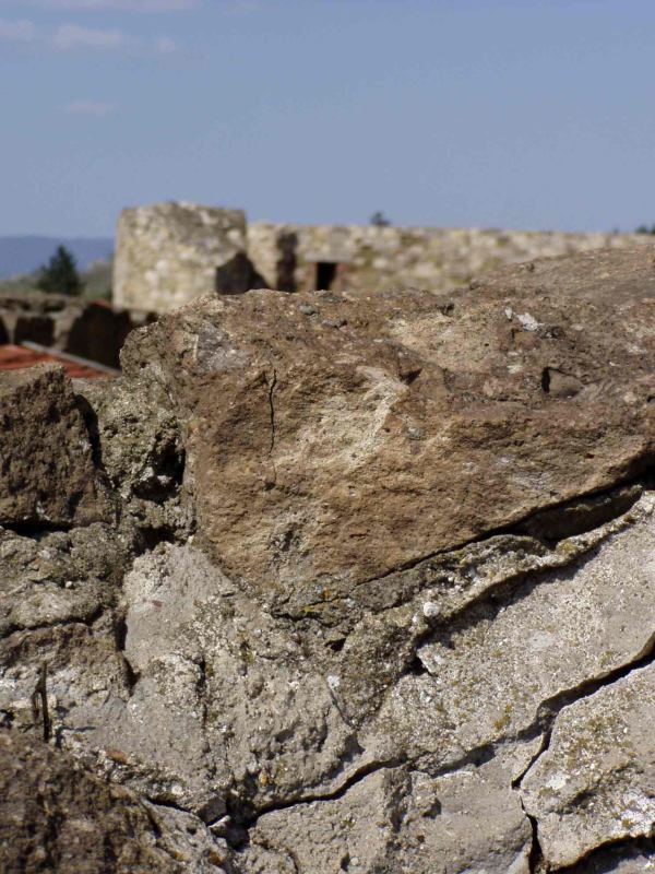 * Image 12