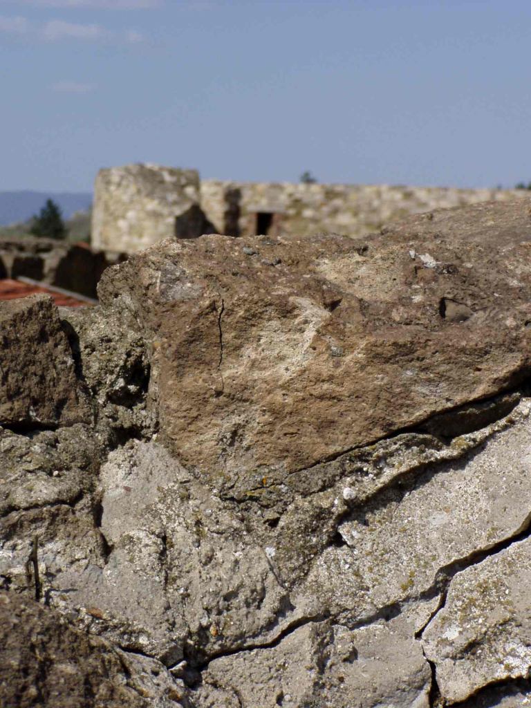 * Image 12
