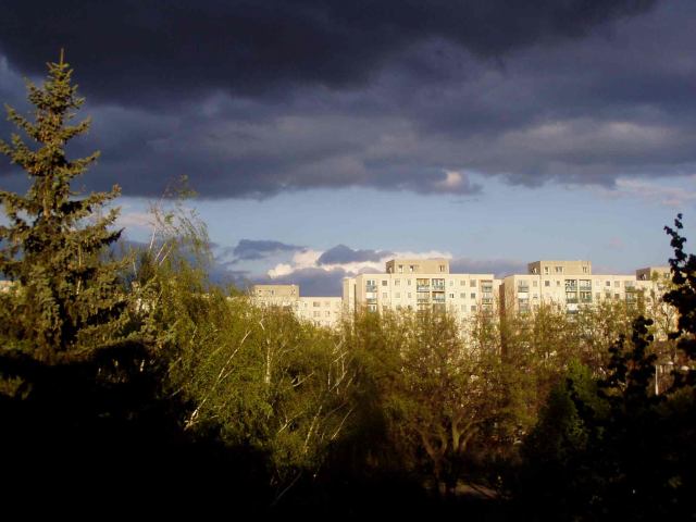* Image 5