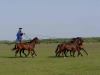 P5020149.jpg - 2005:05:02 16:33:52