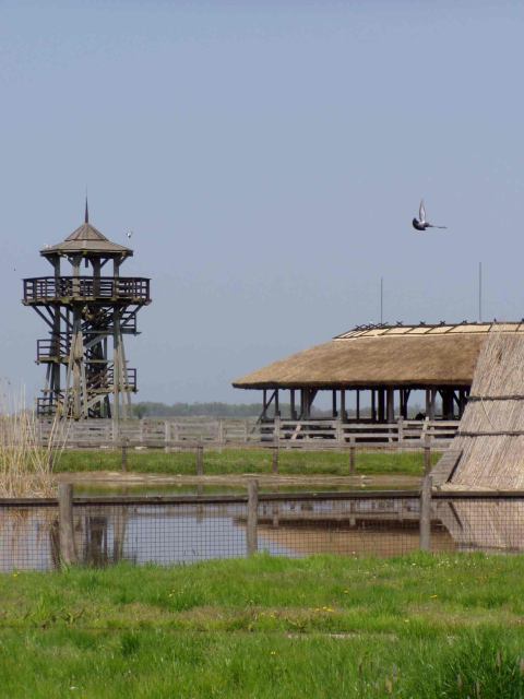 * Image 6