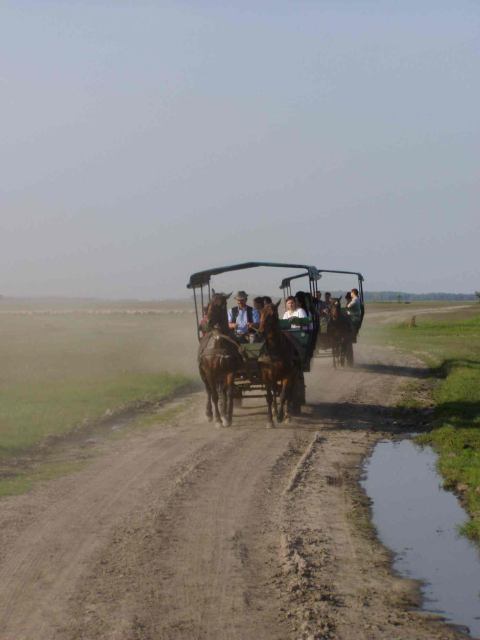 * Image 21