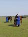 P5020165.jpg - 2005:05:02 16:38:35