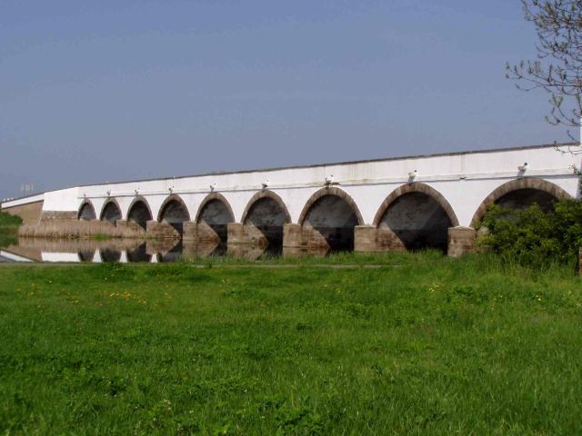 * Image 1