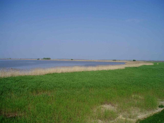 * Image 12