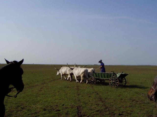 * Image 14