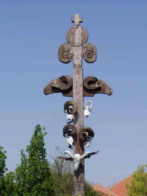 * Image 5