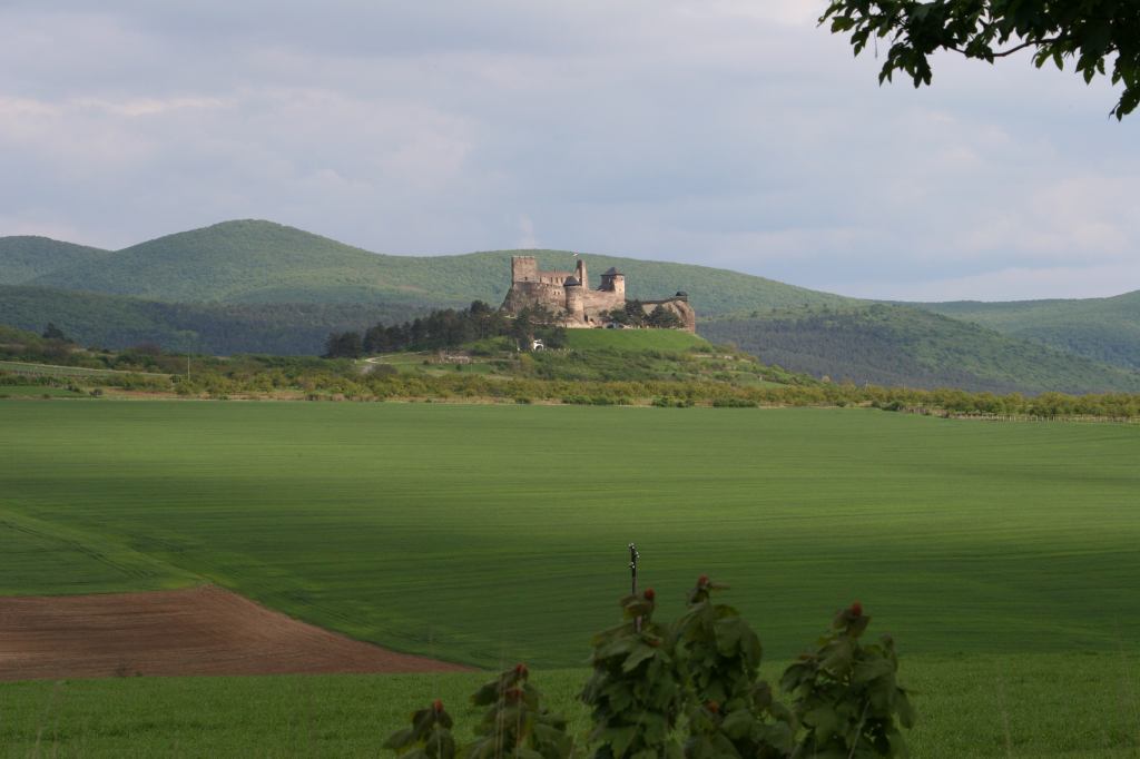 * Image 11