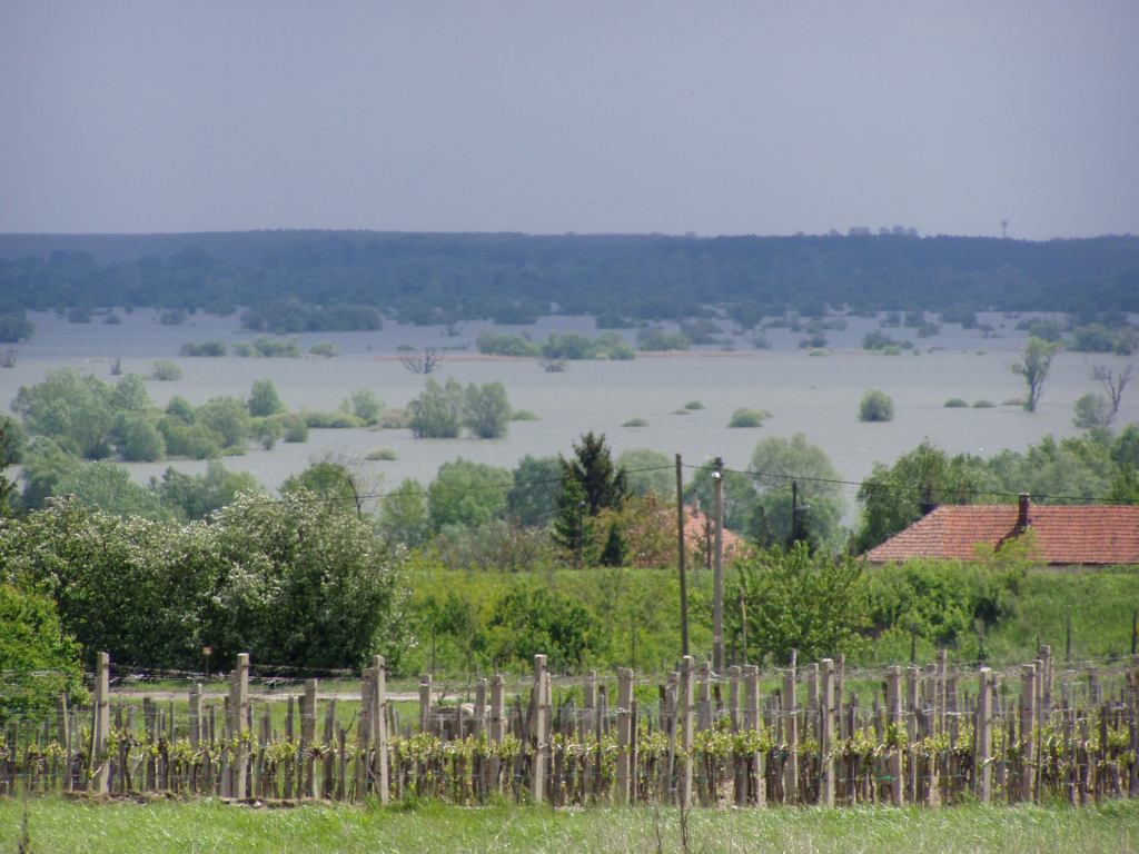 * Image 21