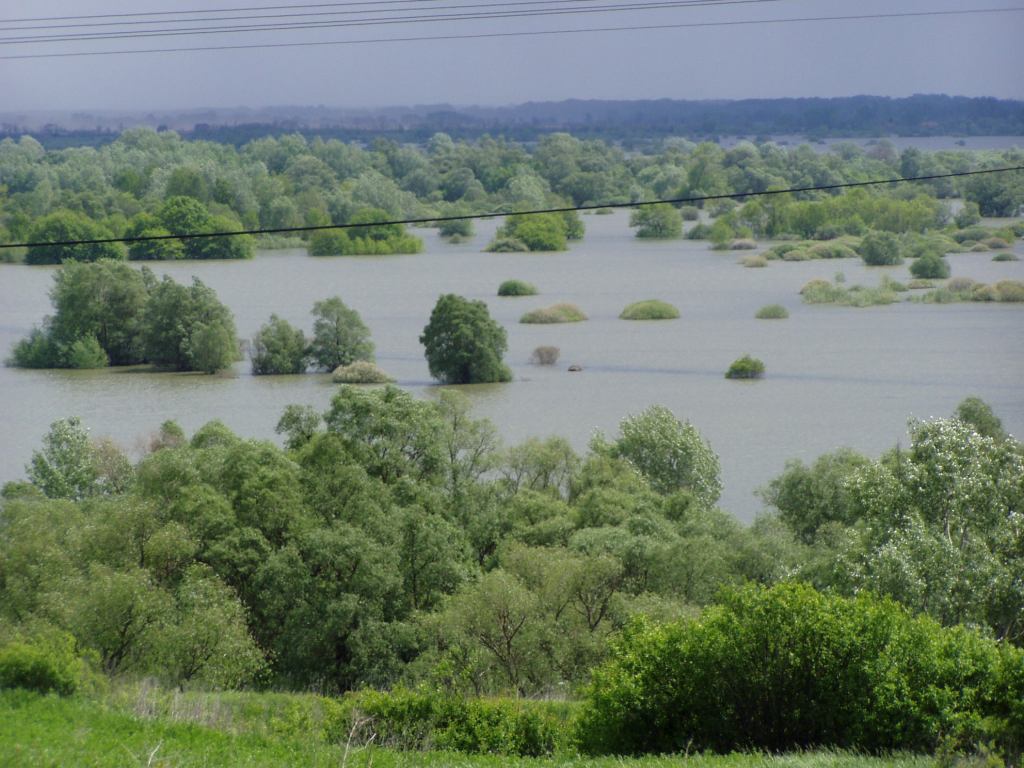 * Image 22