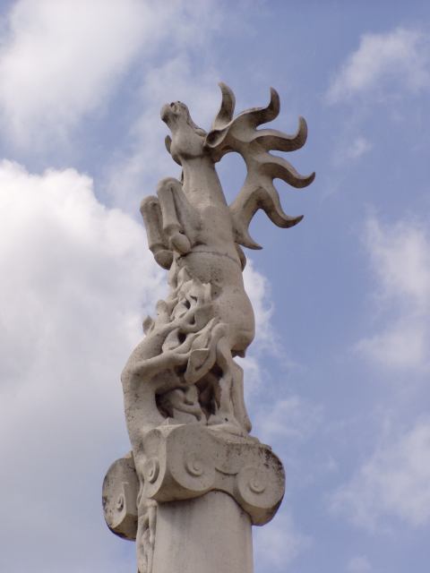 * Image 26