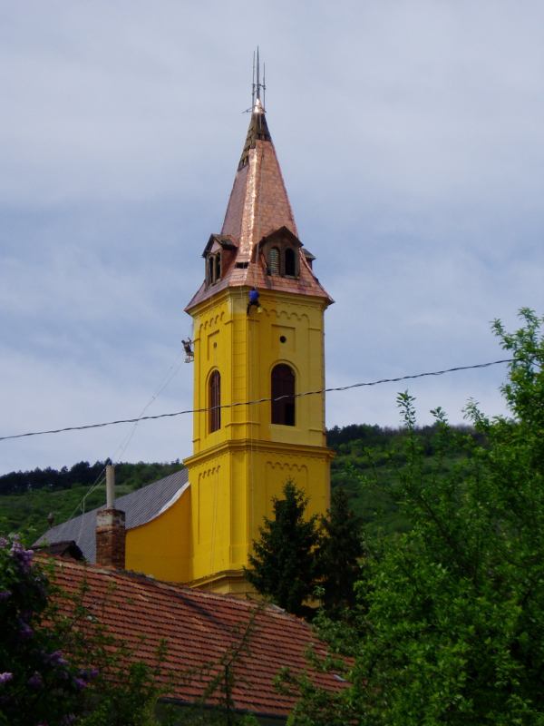 * Image 16