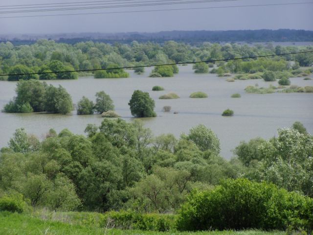 * Image 22