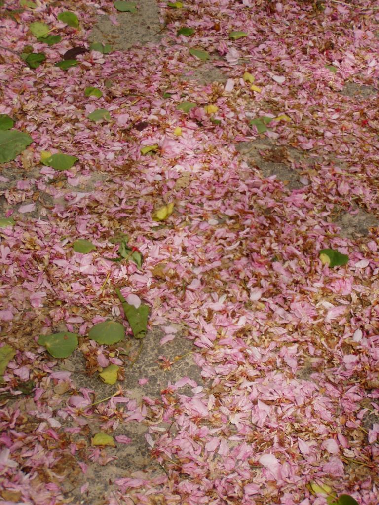 * Image 15