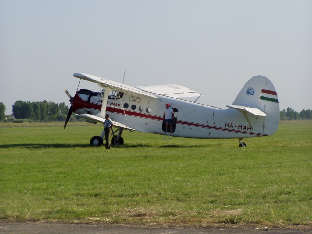 * Image 19