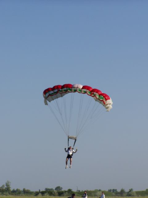 * Image 15