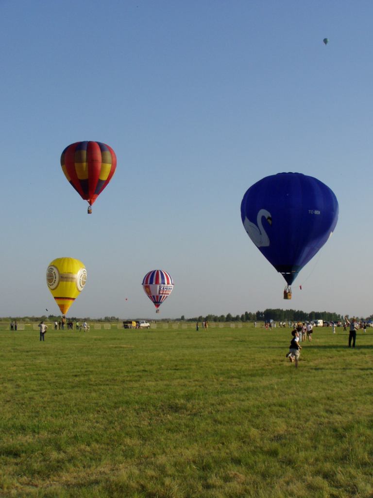 * Image 12