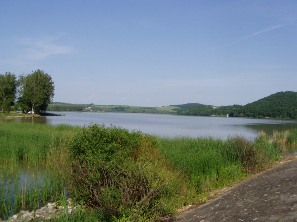 * Image 17