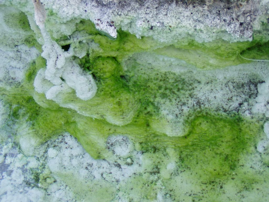 * Image 28