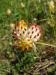 P5290005.JPG - 2003:05:29 14:55:34