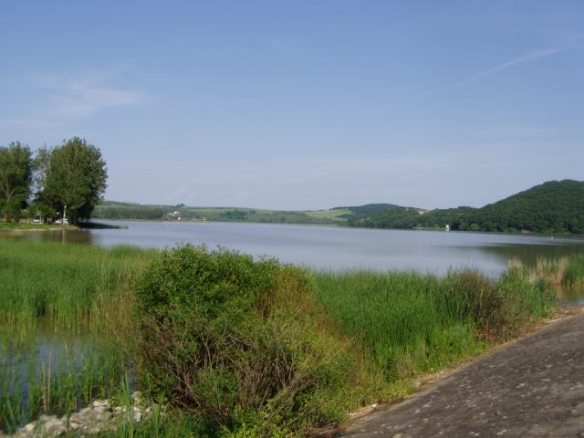 * Image 17