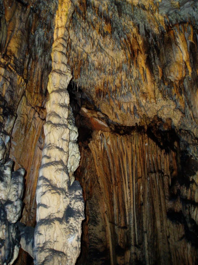* Image 23