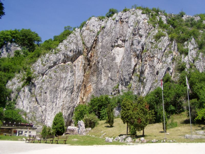 * Image 15
