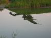 IMG_8788.JPG - 2005:06:14 19:56:12