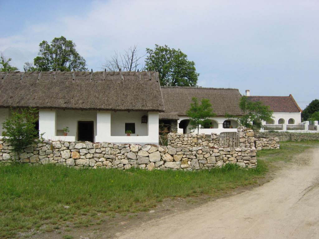 * Image 4