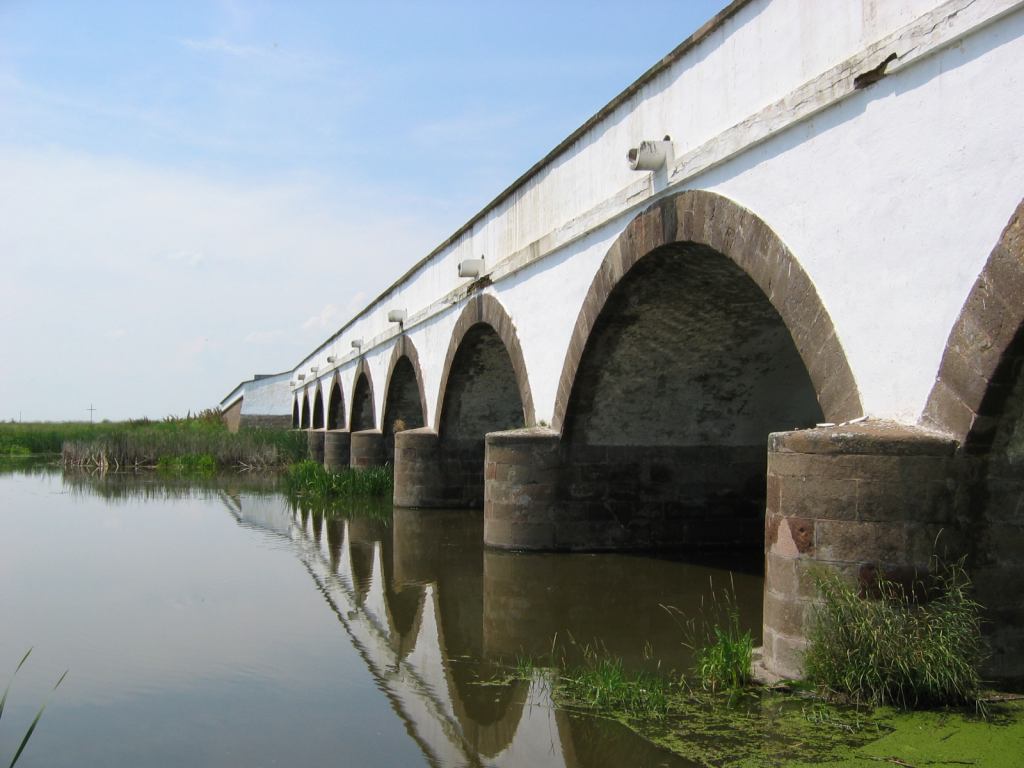 * Image 10