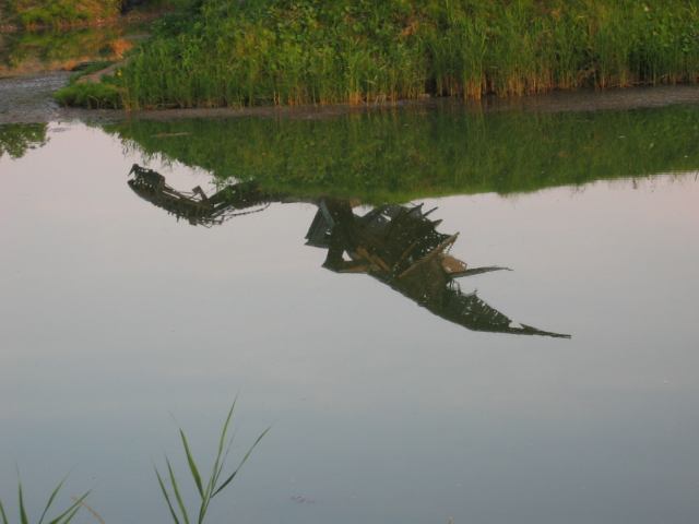 * Image 9